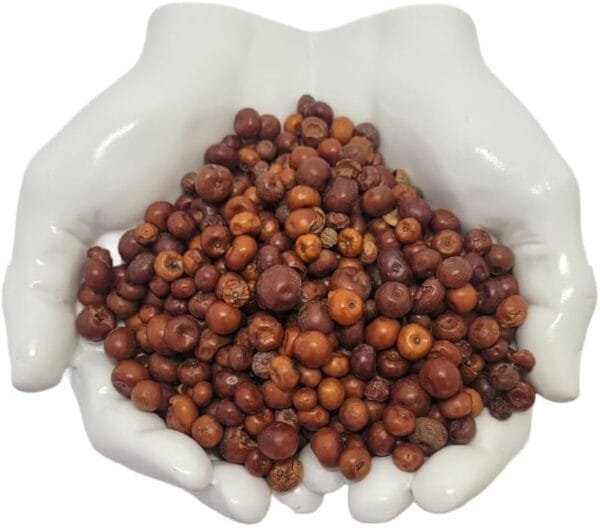 القنقليز السودان